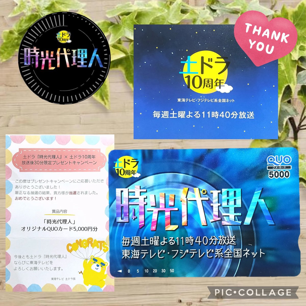さゆ.。*🌻🌻 tweet media