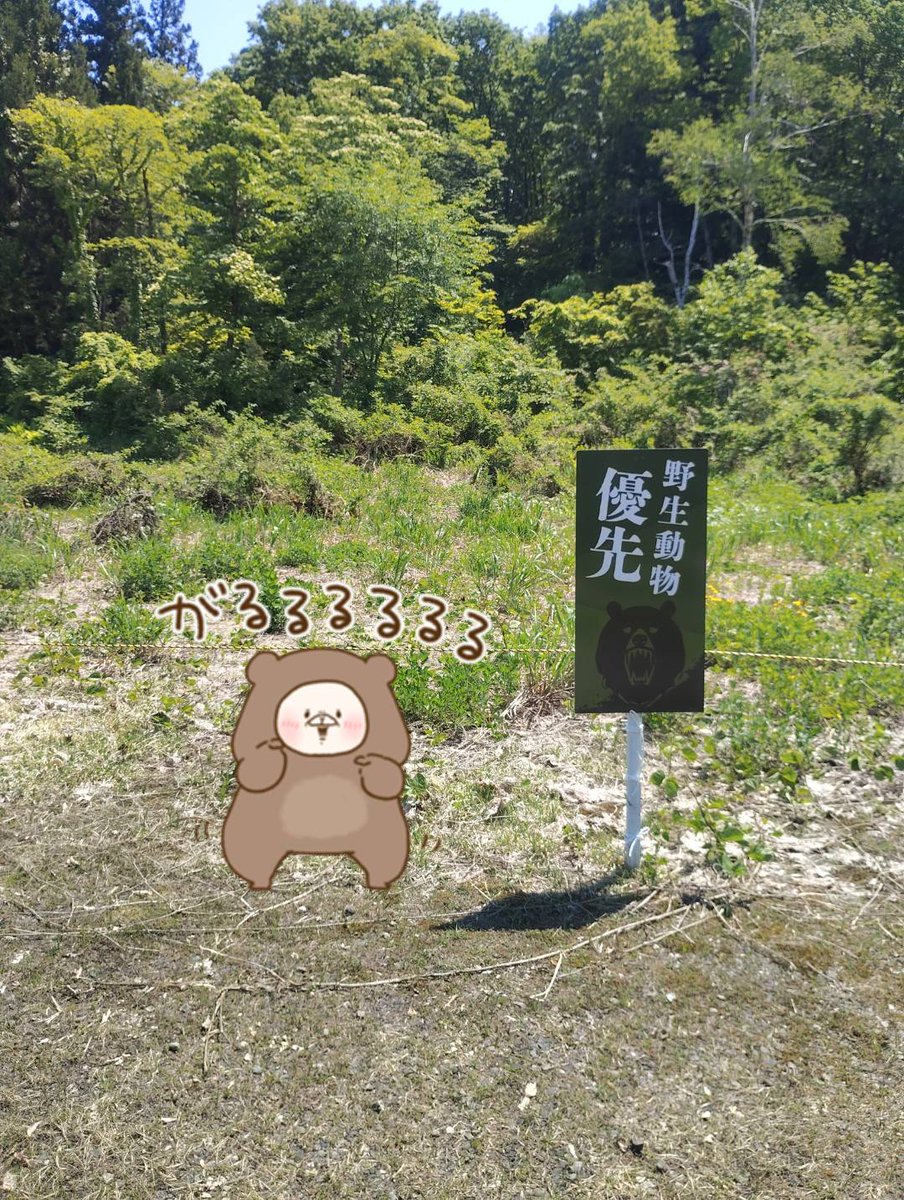 acaciacafe77's tweet photo. ミステリーツアーで訪れた渓谷にて、、。

#ともだちはくま #さいきたむむ https://t.co/vE74HKQVYe