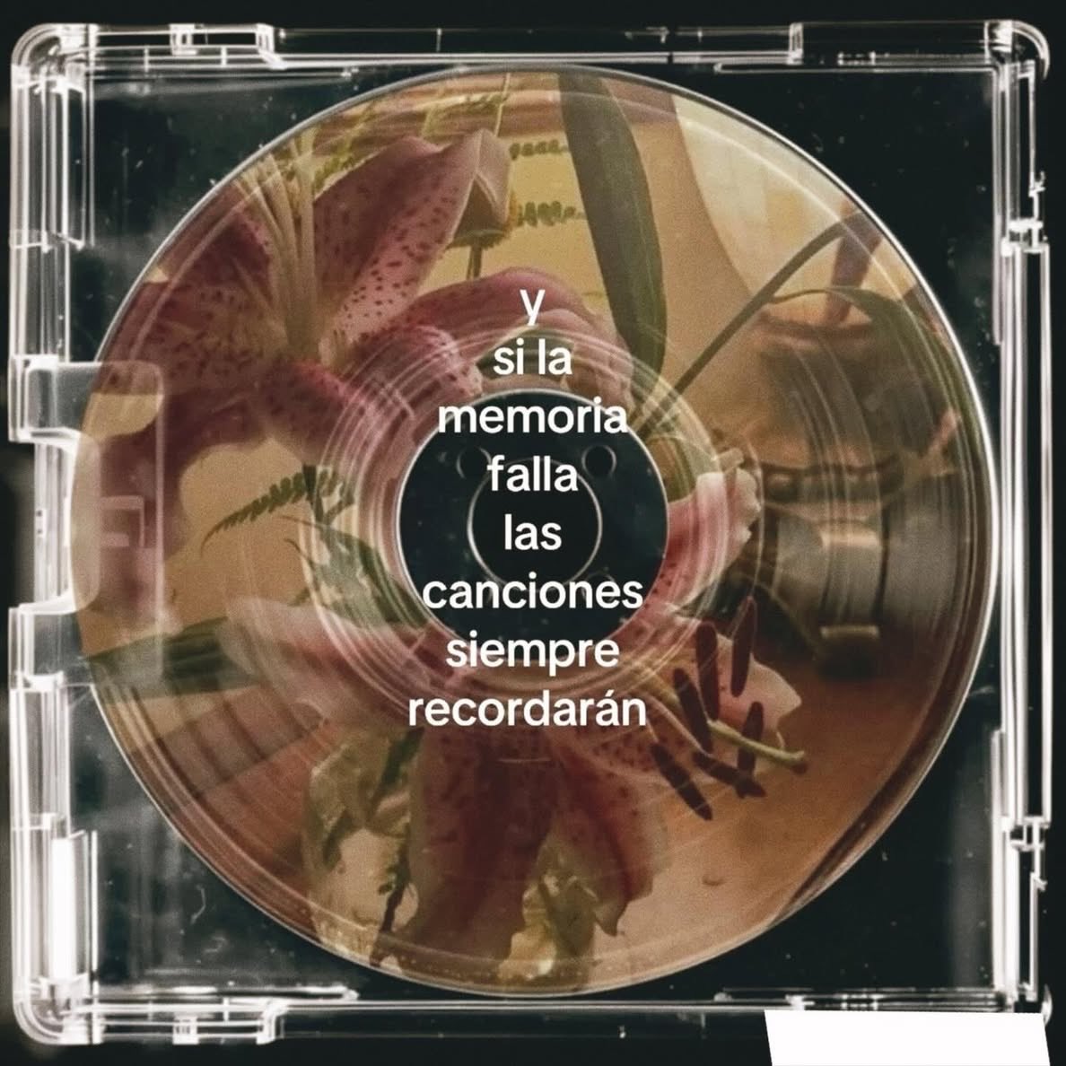 nación tweet media