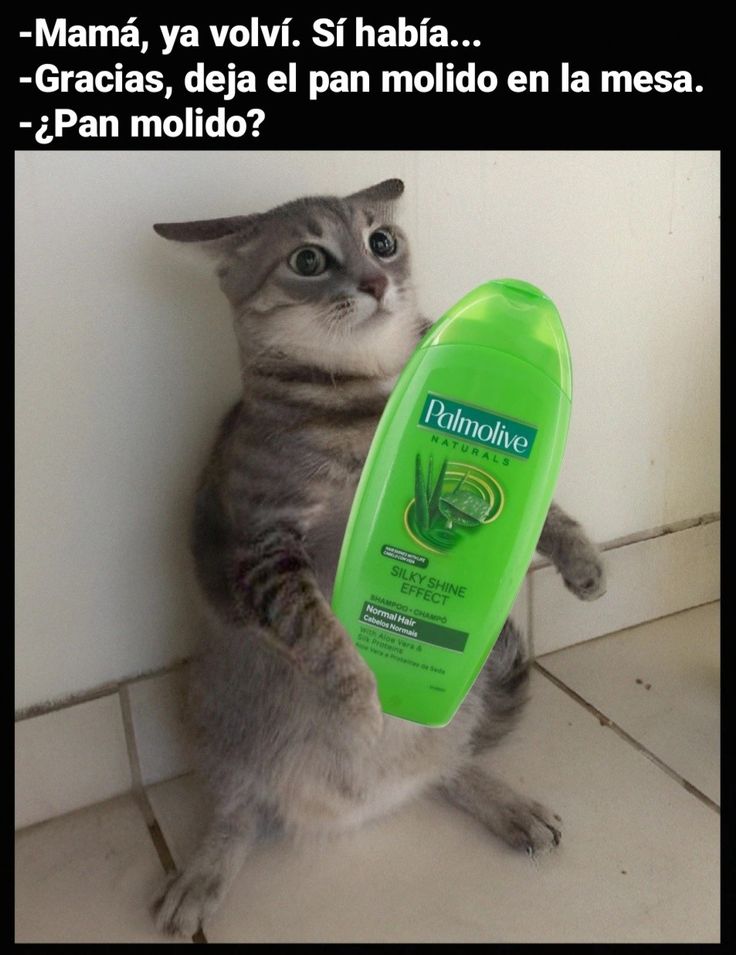 Rincón Curioso tweet media