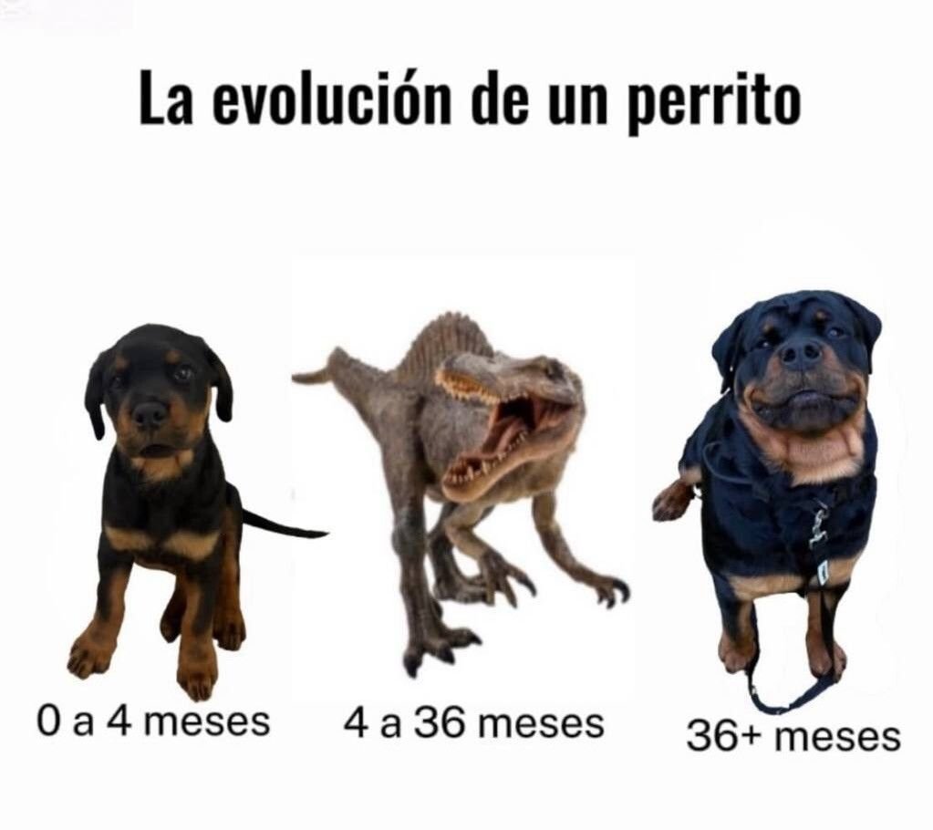 FraseSimple's tweet photo. https://t.co/Ar8vZlcBI3