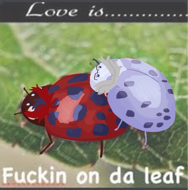 illuksun's tweet photo. eitaku bug https://t.co/K2PBs2tCSE