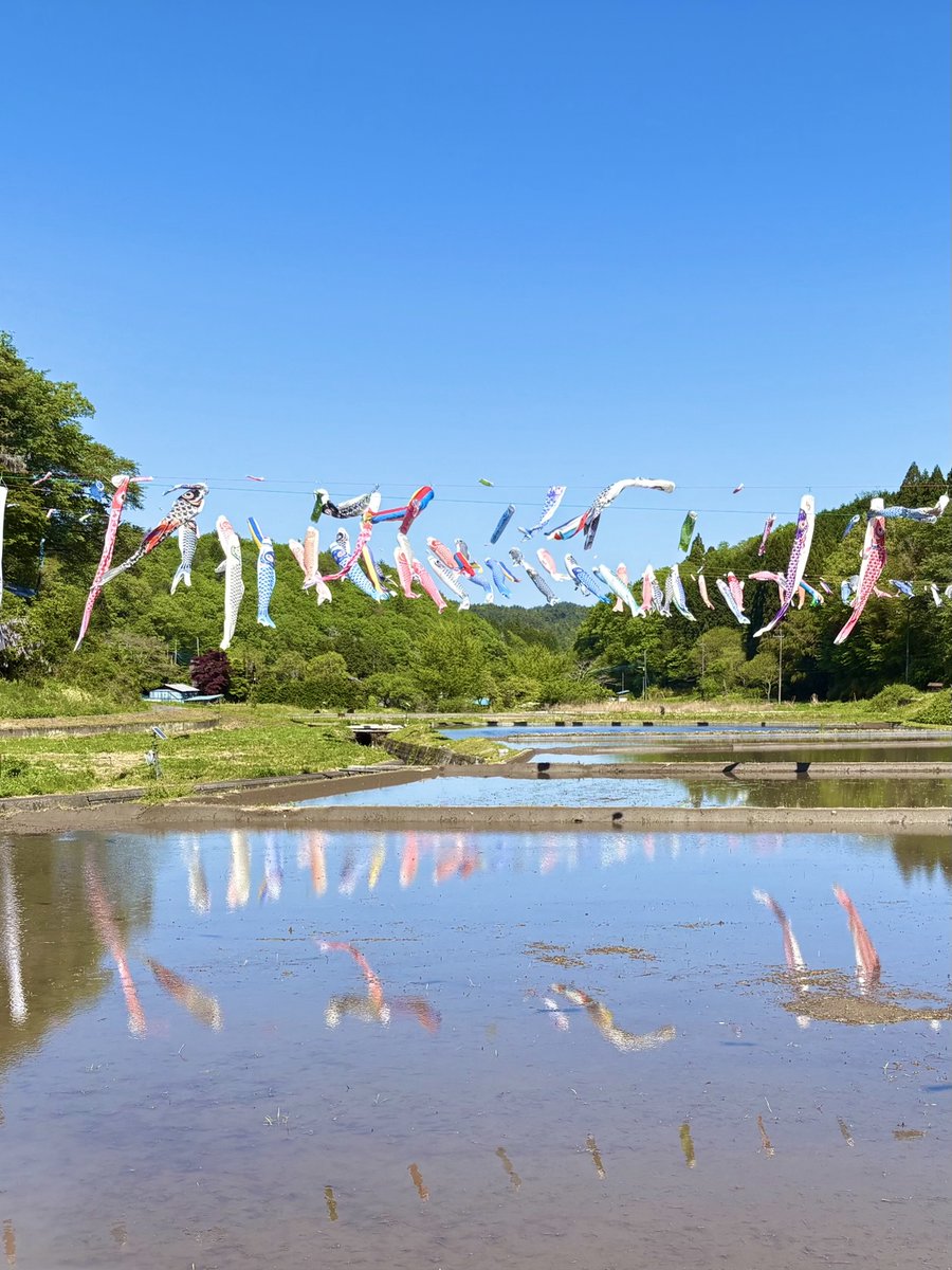 茨城県県北農林事務所【公式】 tweet media