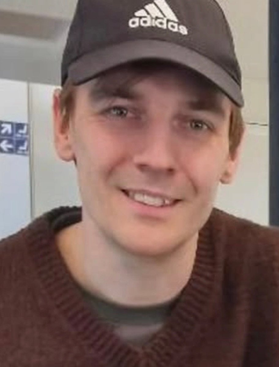 daily kevin holmström tweet media