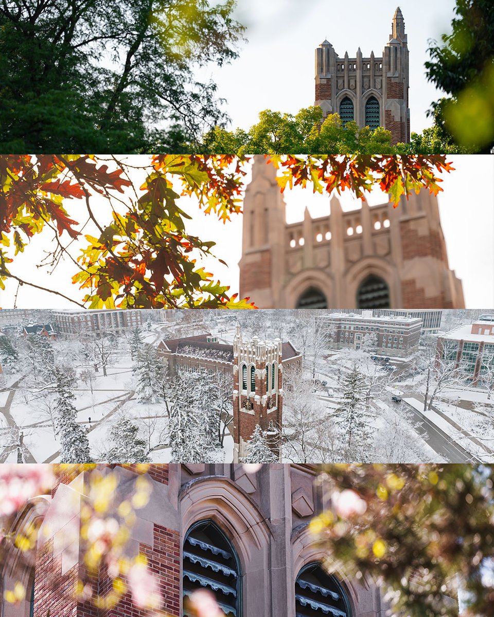 MSU tweet media
