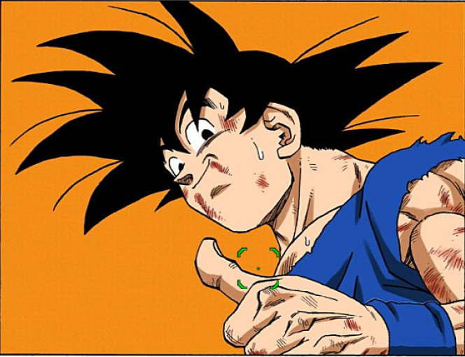 TheVulvulator tweet media