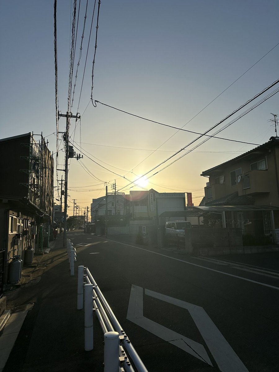 コトブキ部長😎👍 tweet media