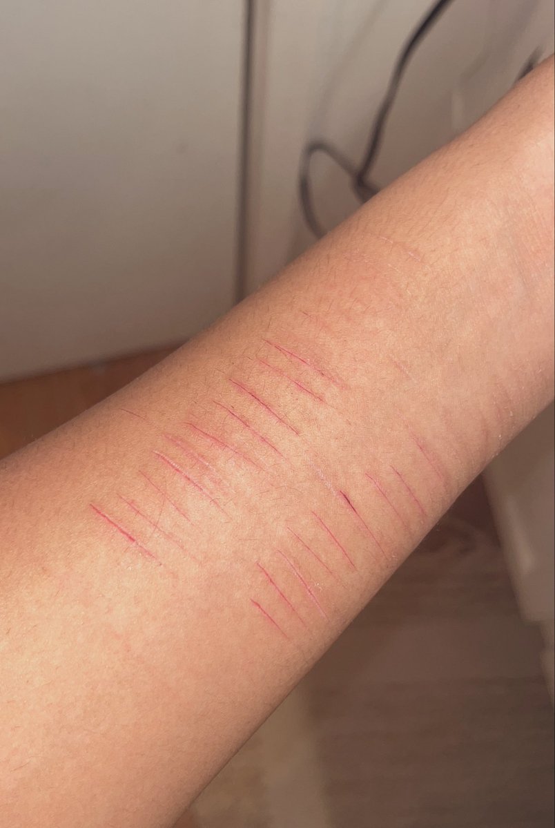 ₍^. .^₎⟆ . r a y ˚ ꩜ . shtwt tweet media