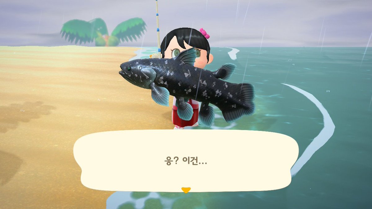garet960's tweet photo. 꺄아앙 실러캔스 두마리나 잡았어!!! https://t.co/dMpFv7f9Fn