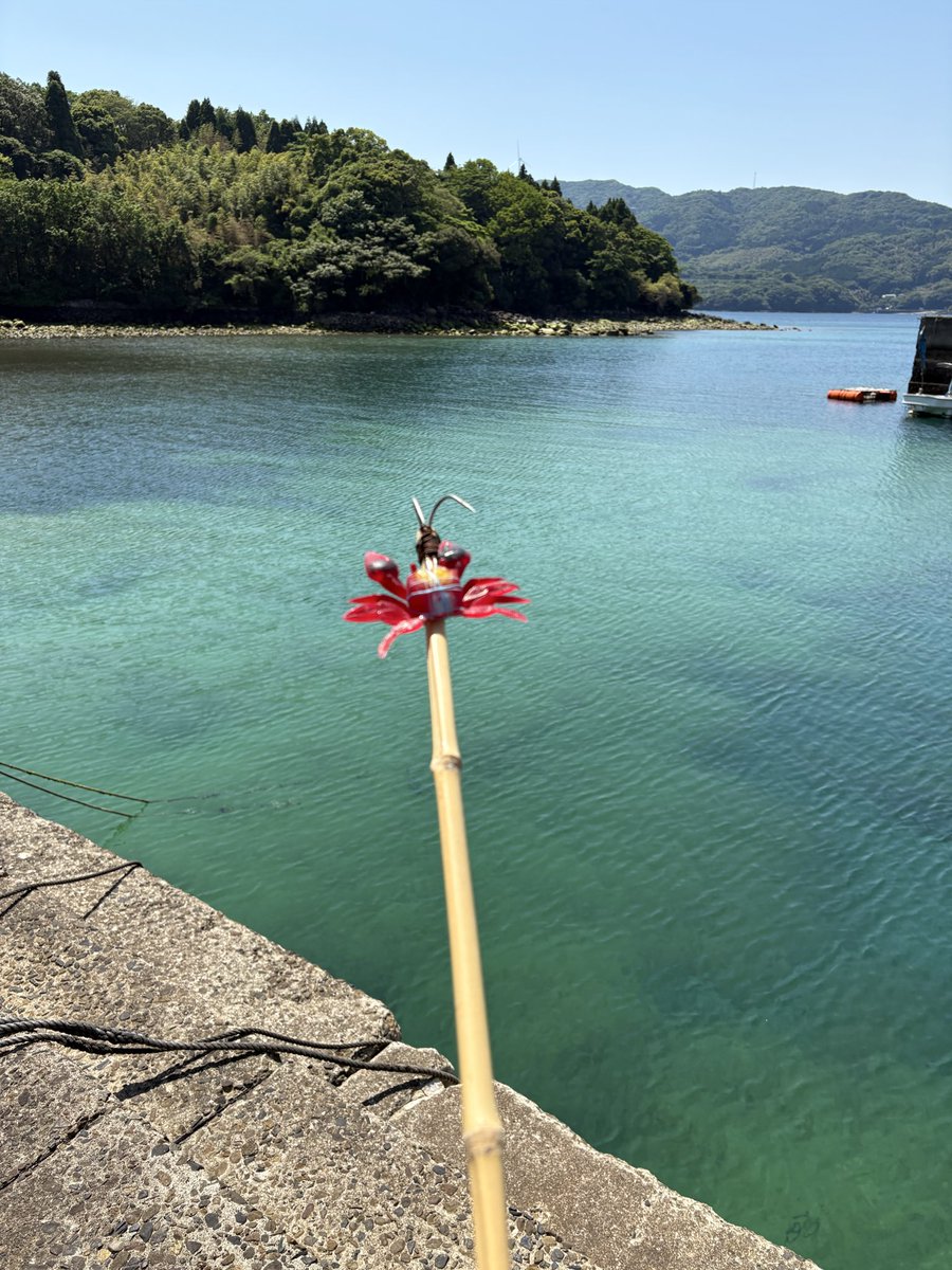 カミィユ tweet media