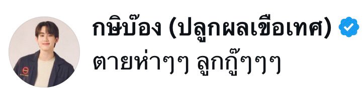 หมีน้ำขิง🫚 tweet media