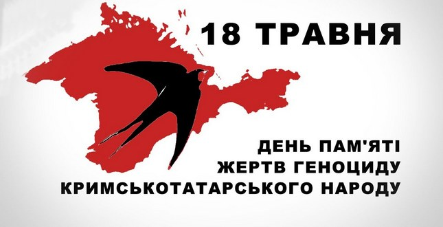 Баба і кіт tweet media