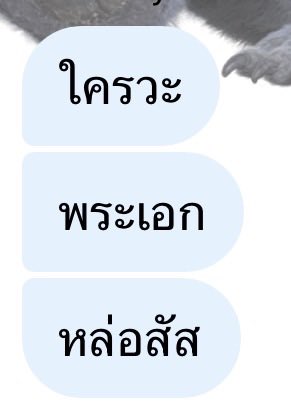 อข.🧡 tweet media