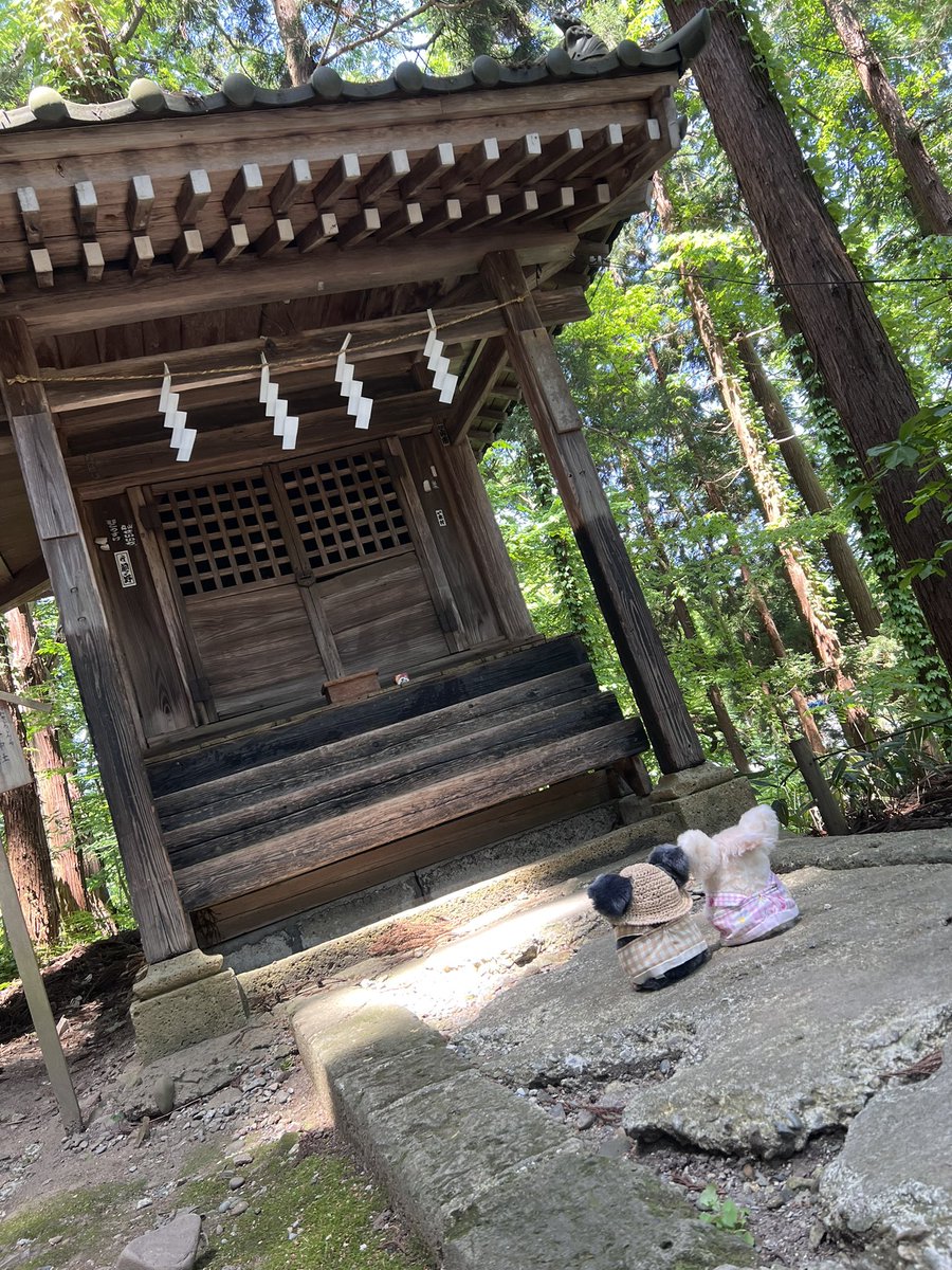 かえで tweet media