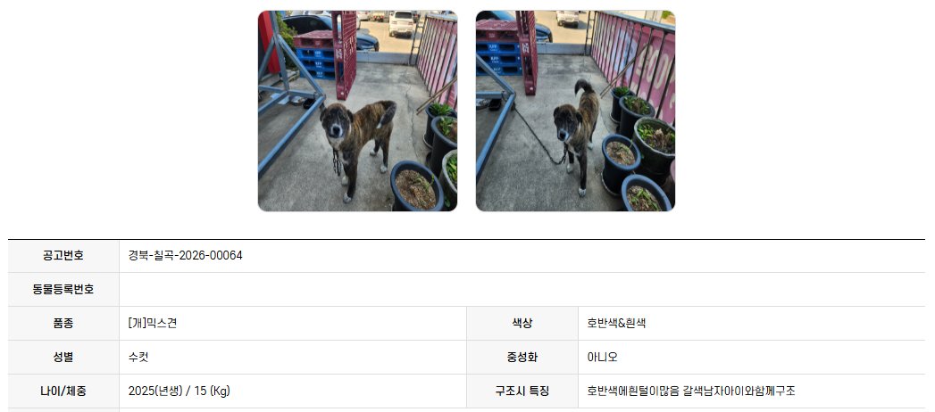 오늘의 강아지 추천 tweet media
