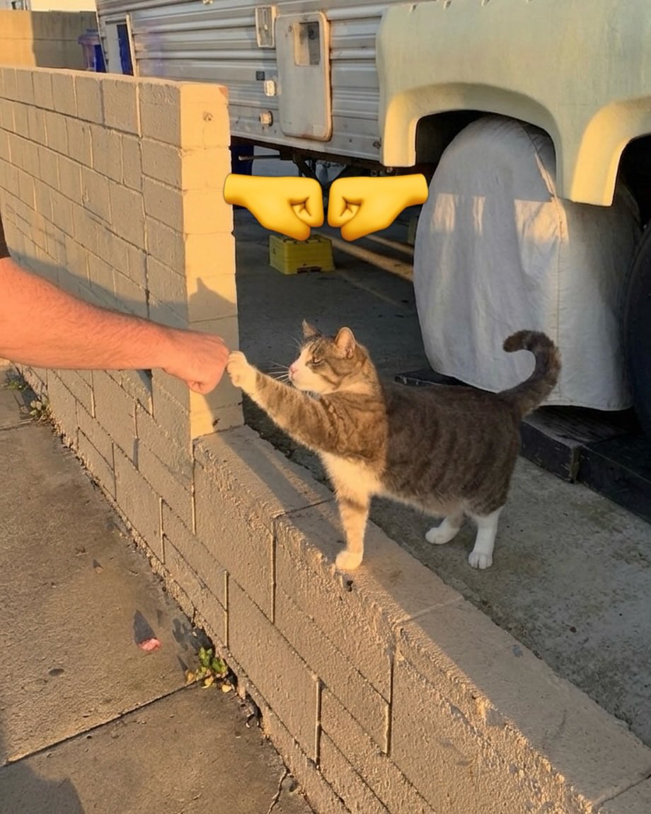 JoyfullCat's tweet photo. https://t.co/epJemXEVCk