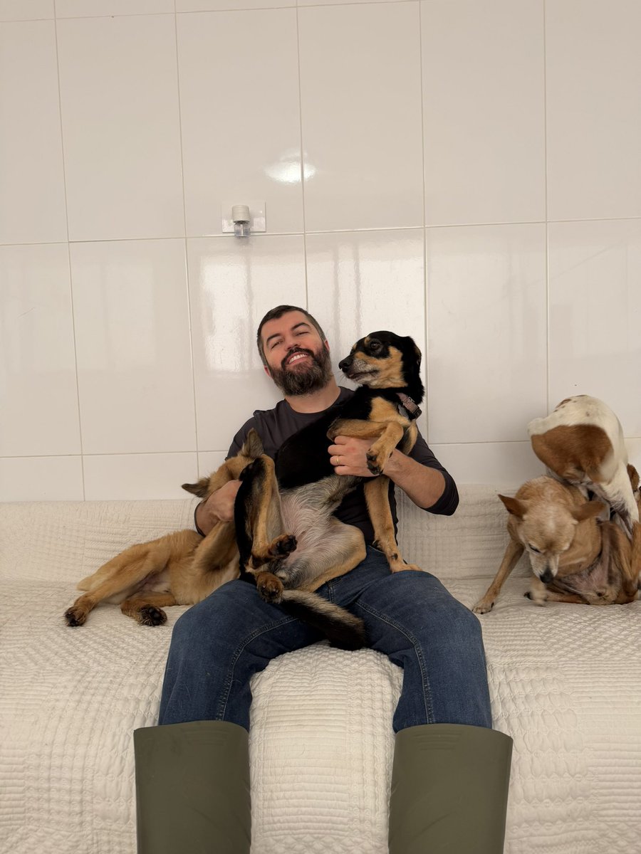 casadoviralata's tweet photo. Tem uma vakinha na bio para um passo muito importante no nosso abrigo (ter o gatil ao lado do canil) confira lá, compartilhe o fixado e doe

Esse sonho é nosso. https://t.co/AnrNm8IYGN