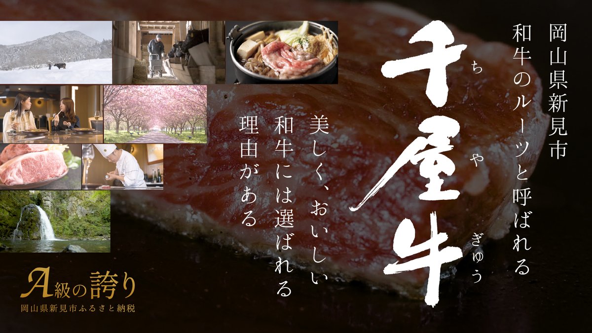 niimilove's tweet photo. ✨新見市からお知らせ✨ 
🎥千屋牛のＰＲ動画が完成しました！ 🐮  
「千屋牛」と新見市の魅力満載の動画になっています！ YouTubeではロングバージョンもアップしていますので、ぜひご覧ください！ 

 ↓新見市ふるさと納税【Ａ級の誇り】 https://t.co/OtrfZvammU https://t.co/2etJ94l71X