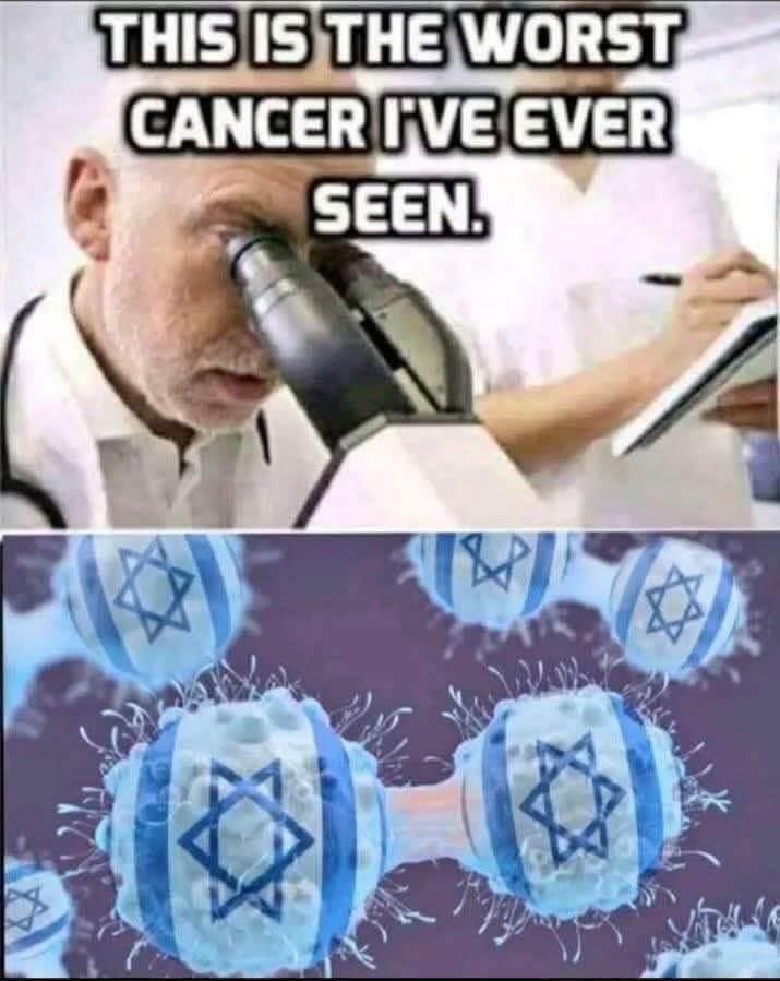 Blu🇵🇸 tweet media