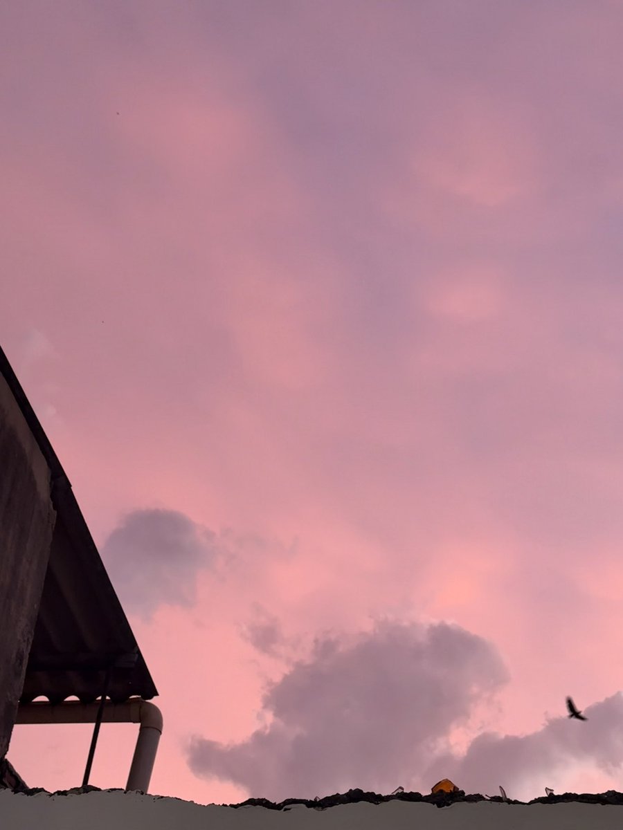 𝓝𝓪𝓽𝓪𝓵𝓴𝓪🌸 tweet media