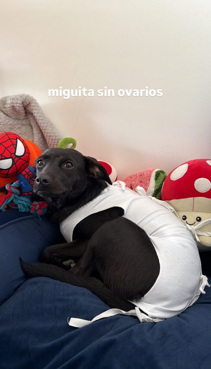 Emma 🌶️ tweet media