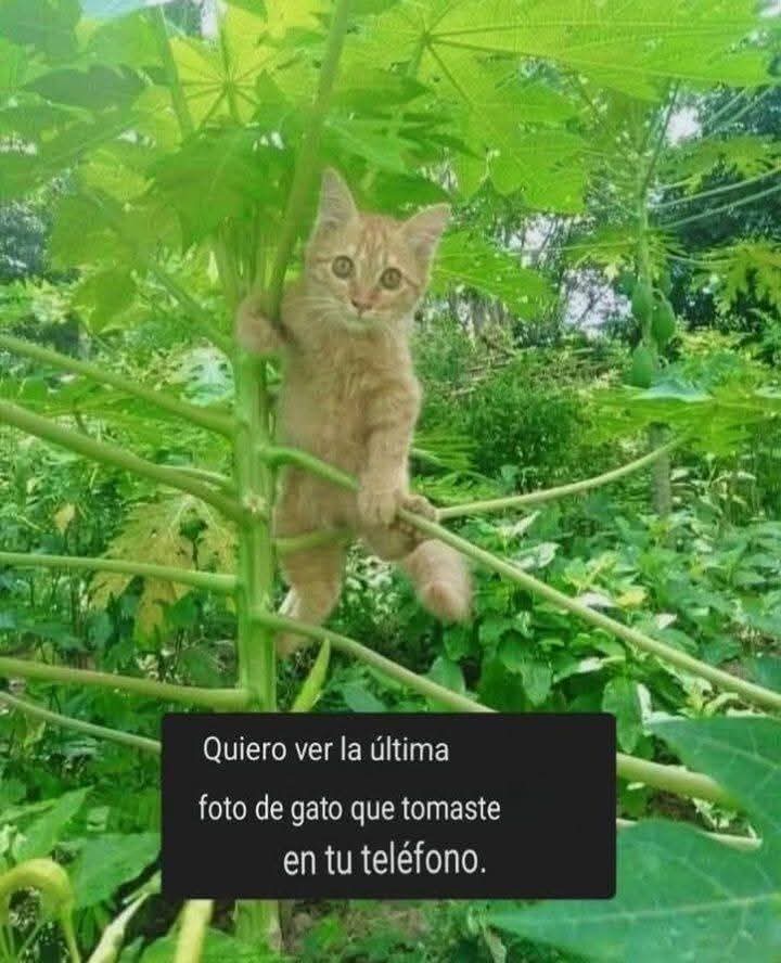 Manu Saenz💛💛 tweet media