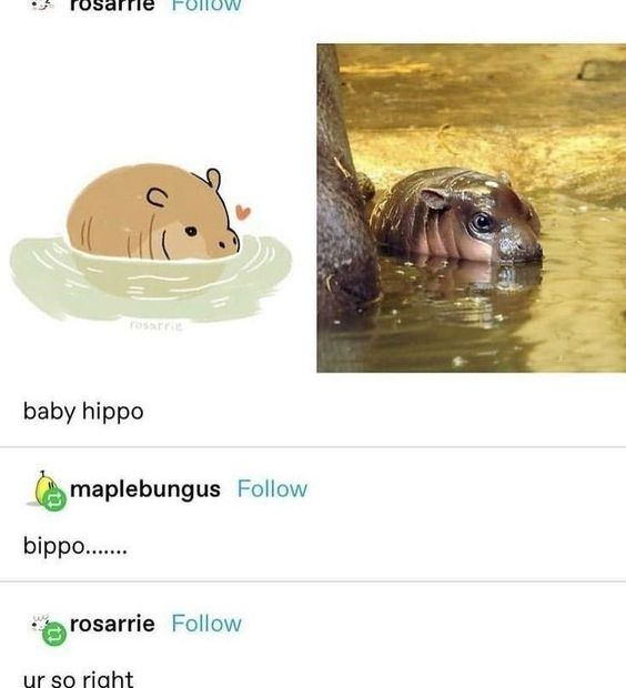 WholesomeMemes tweet media
