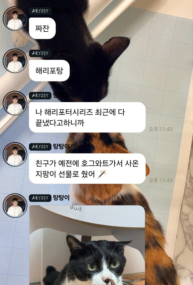 탕준상 버블 백업 tweet media