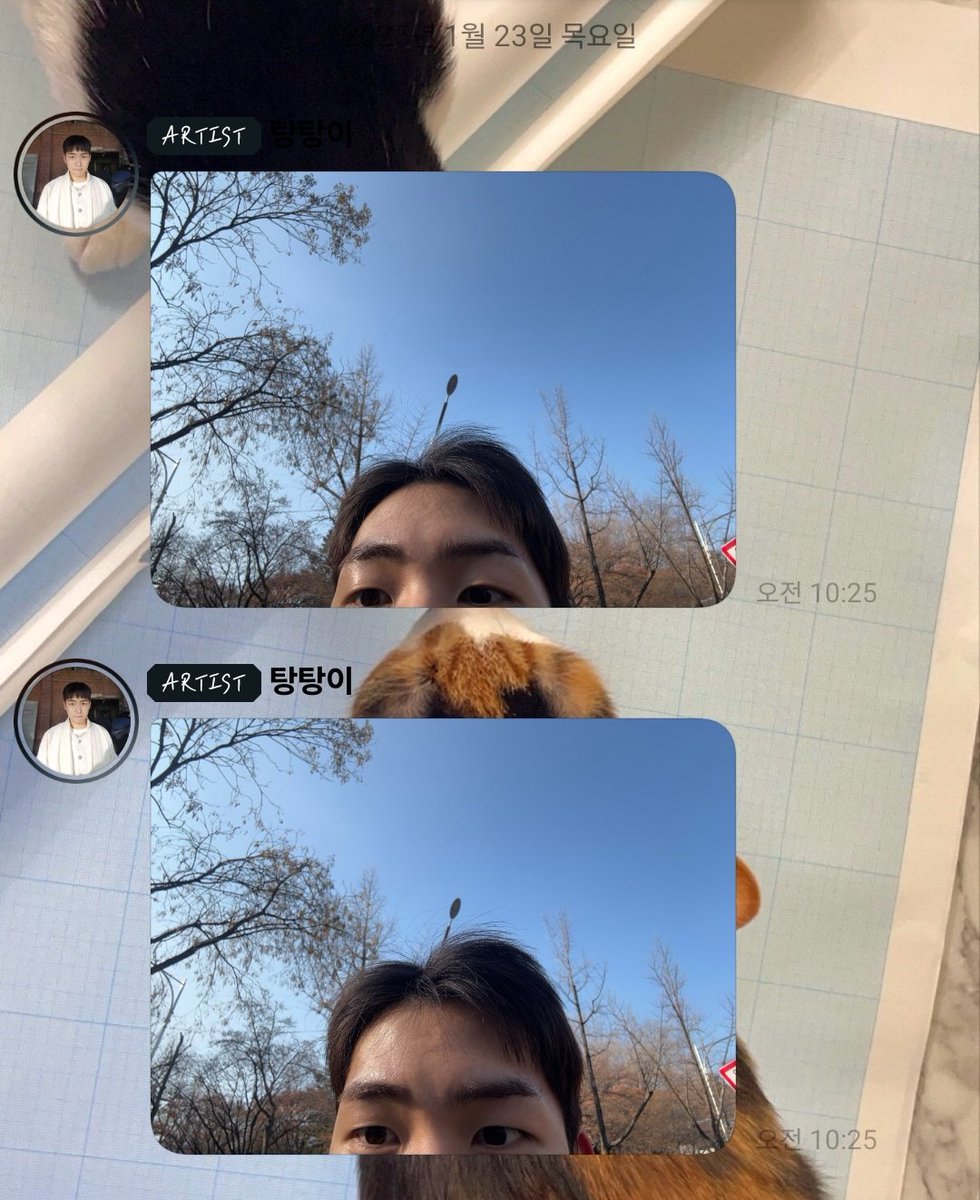 탕준상 버블 백업 tweet media