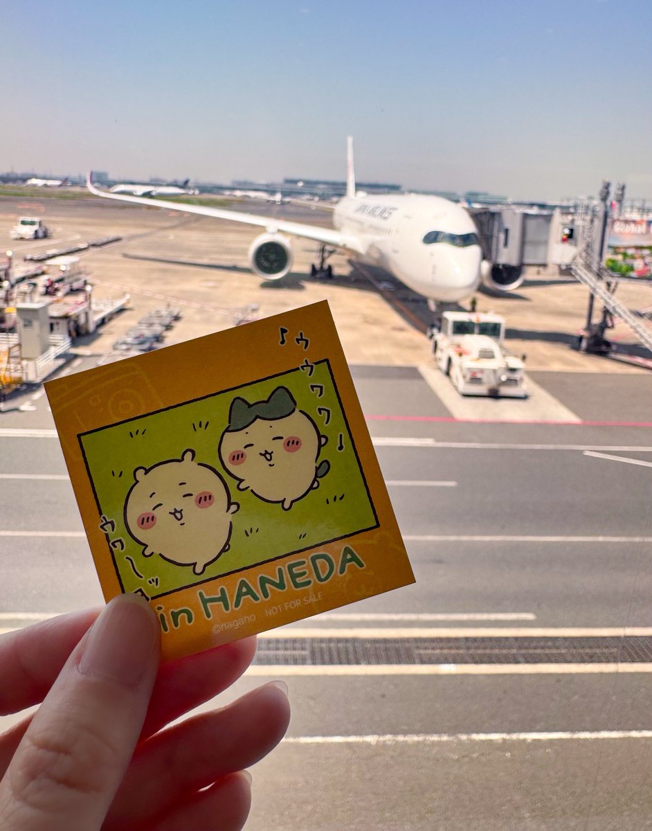 ちぃれも🍋 tweet media