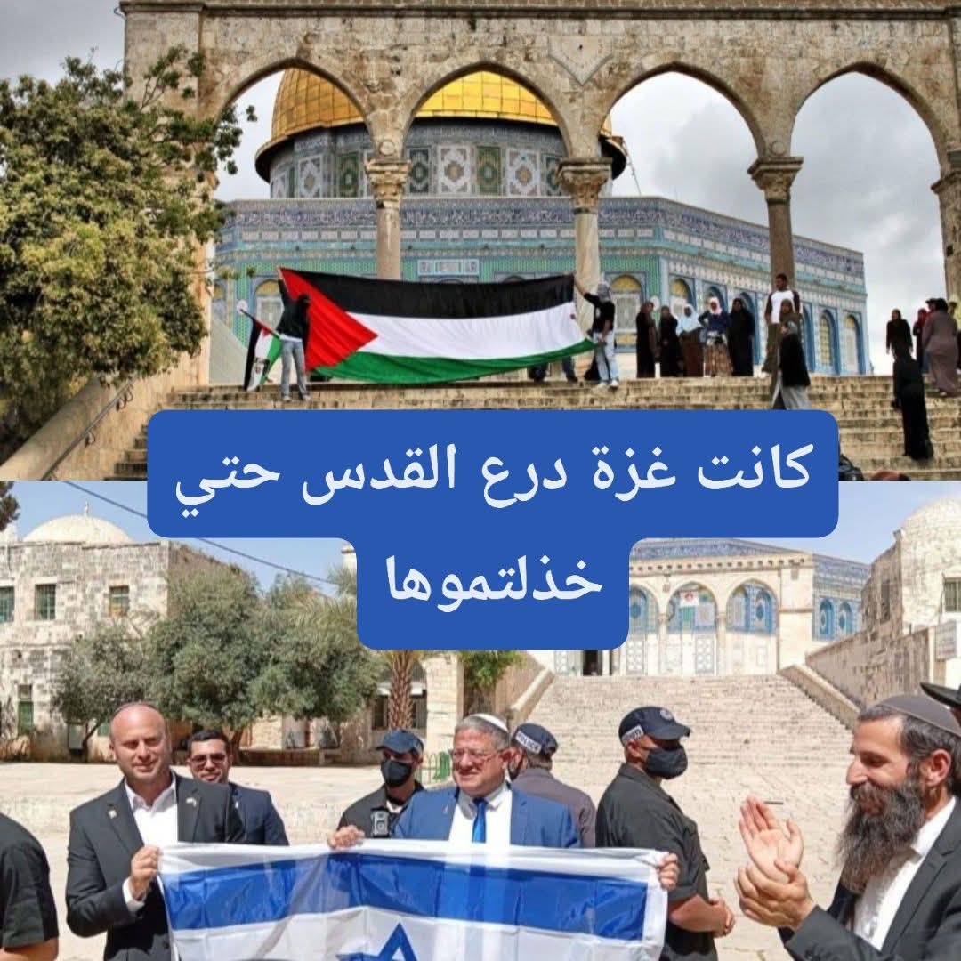 MahdyOmda's tweet photo. رفعت الخناززير رؤووسها بعدما قضت الأسود قتلآ وجوعآ https://t.co/rNF6GBICDt