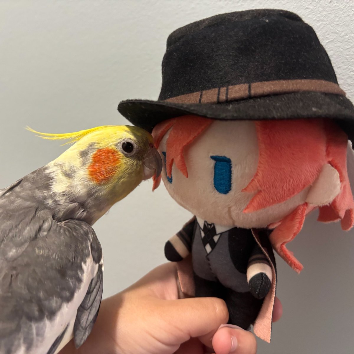Pikpi tweet media