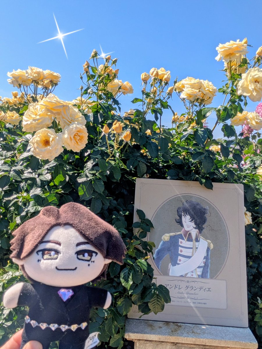 mintteayururi's tweet photo. @hirokinanami773 おはようございます☀🌱
ミスディレ初日まで10日なのですね❣️
昨日はゲリラインライにびっくりしましたが、アーカイブで無事見られました😊
わちゃわちゃ楽しそうなお稽古場の雰囲気伝わりました😆︎💕︎
どんな舞台になるかわくわくです💓
今週も素敵な時間を過ごせますように🍀︎✨ https://t.co/Vv2OrQ2lO1