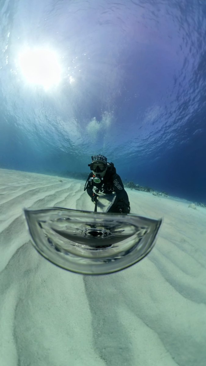 diveSSI tweet media