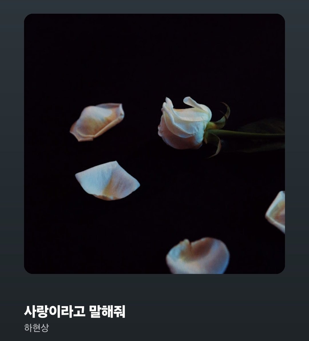 부웅 tweet media