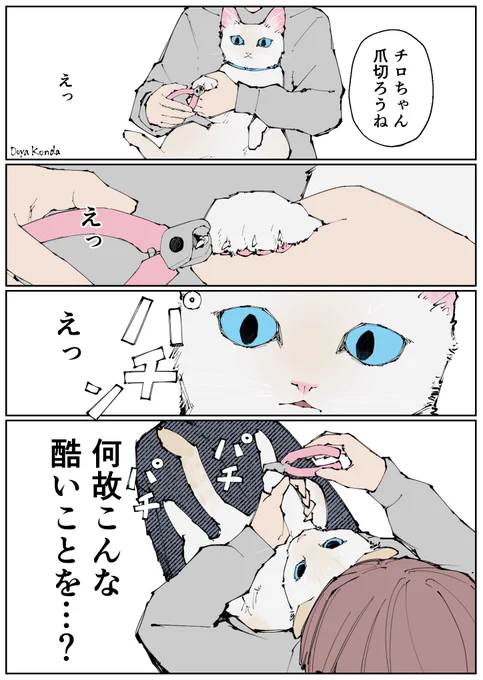 爪を切られる笹かま猫のチロルくん 