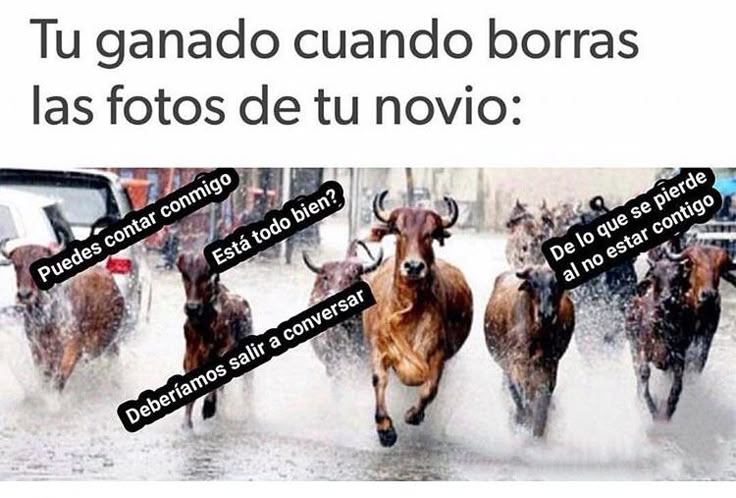Fabiola Fernández tweet media