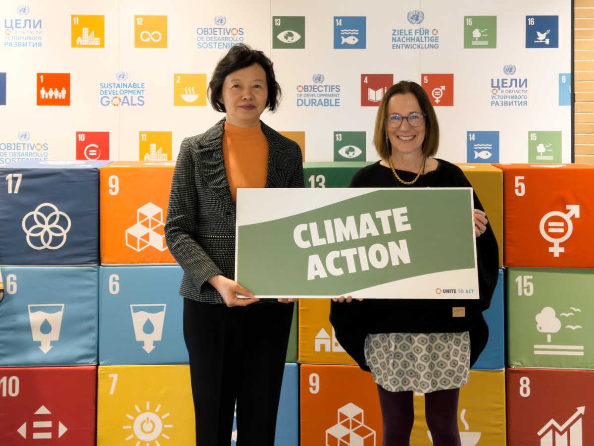 UNDP China tweet media