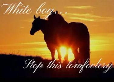 horse dentist tweet media