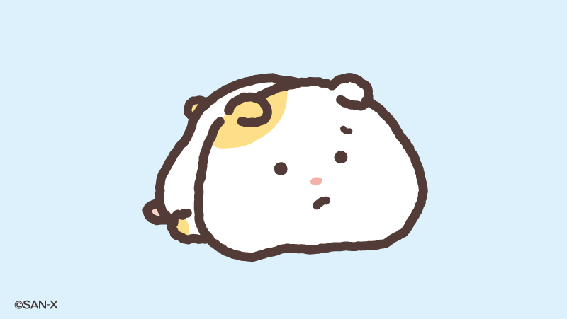まいにちはむちま【公式】 tweet media