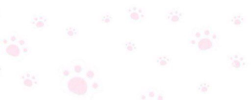 Mallory 🐾 tweet media