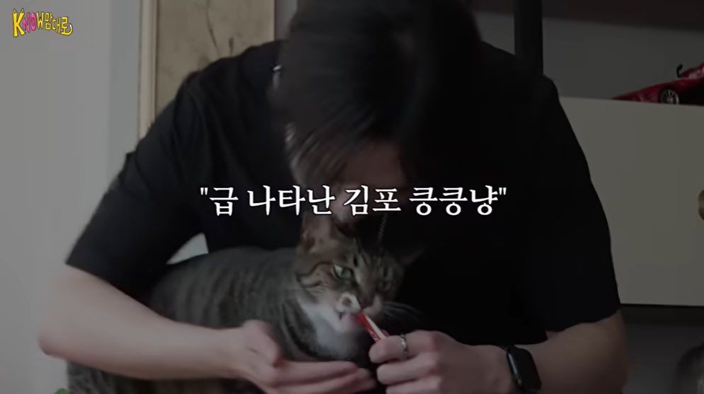 고끼리 tweet media