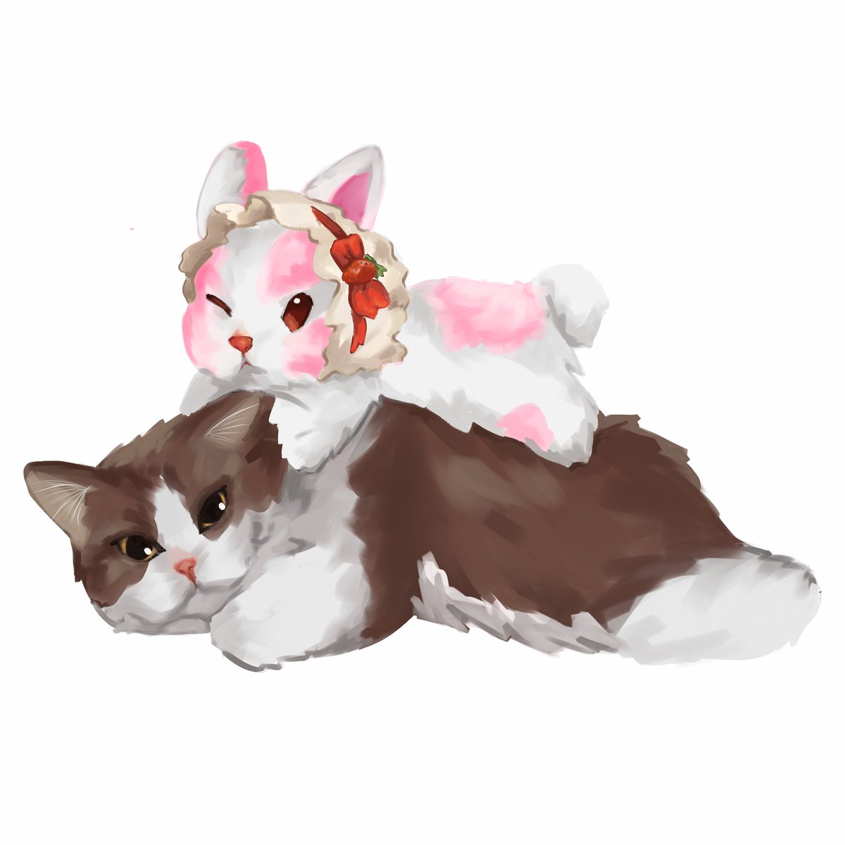 nyanyaa bunny⋆Ი𐑼 ֶָ֢ tweet media