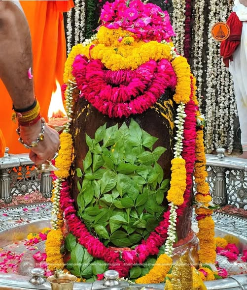 Prem44325040's tweet photo. 🙏🌹 *जय श्री महाकाल*🌹🙏
*श्री महाकालेश्वर ज्योतिर्लिंग का प्रातः कालीन दद्योदक आरती श्रृंगार दर्शन*
*18-05-2026 कण-कण में महादेव*💕 https://t.co/KBX7Kz4rAh