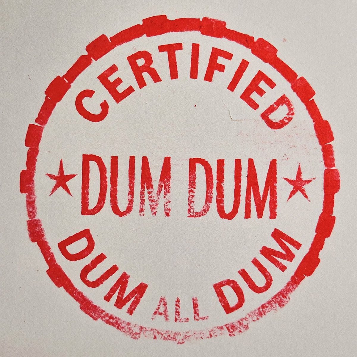 Certfied Dum Dum tweet media