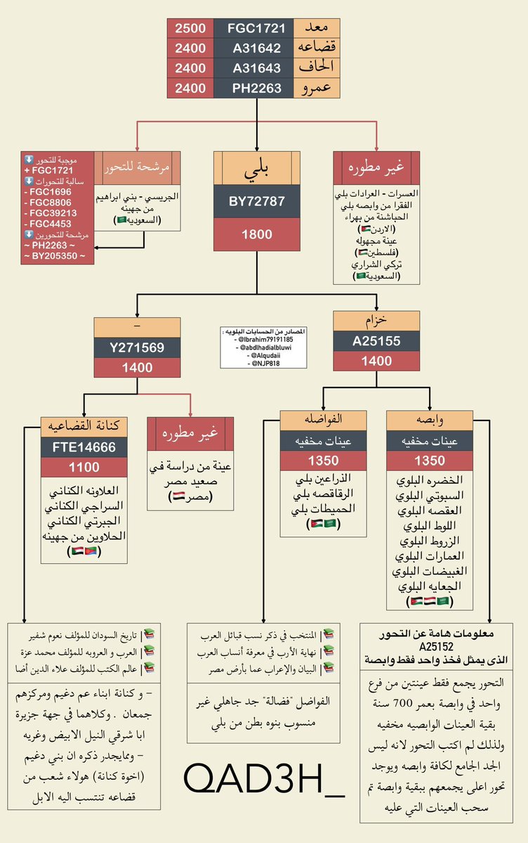 ربيــعة tweet media