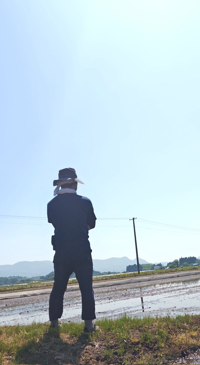 おかひじき(髙岡農園) tweet media