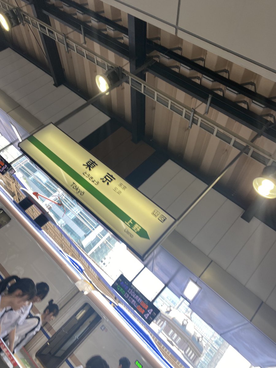 9ろねこ tweet media