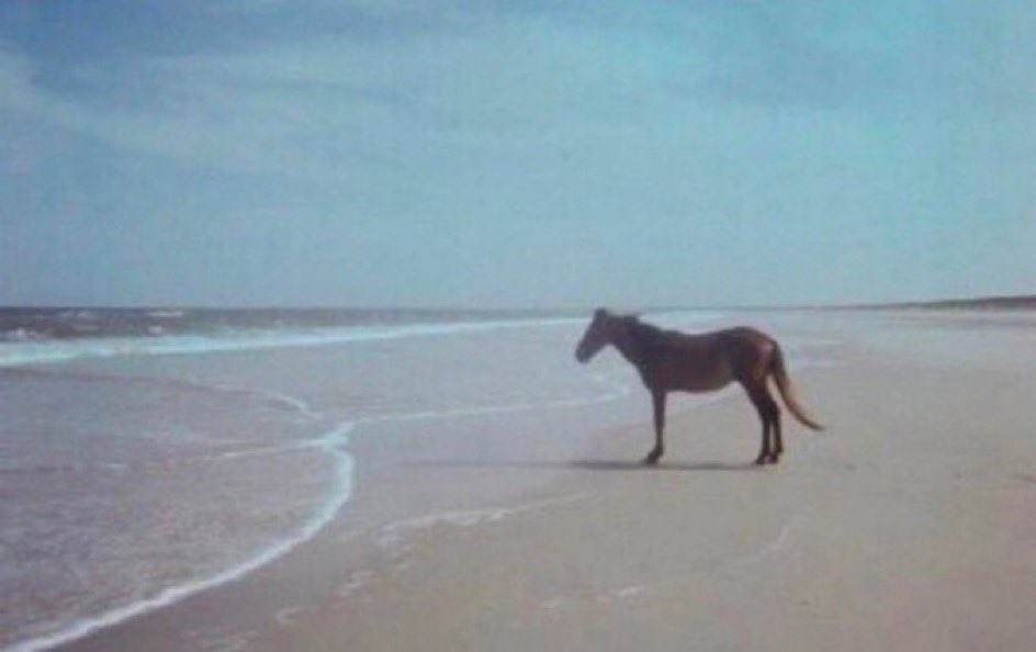 HOODLYPSO's tweet photo. lonely and feeling alone https://t.co/y75pXvlYCx