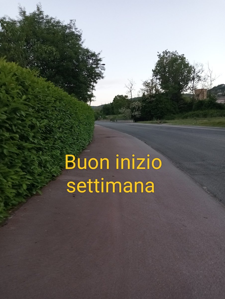 terrinoni l tweet media